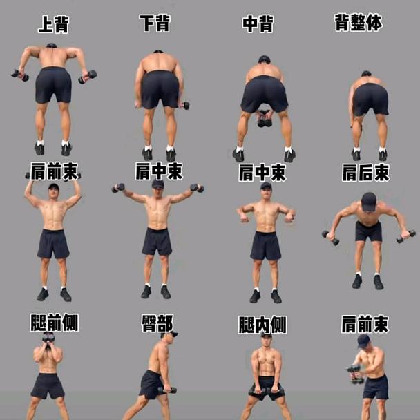 奔跑中的憨憨
