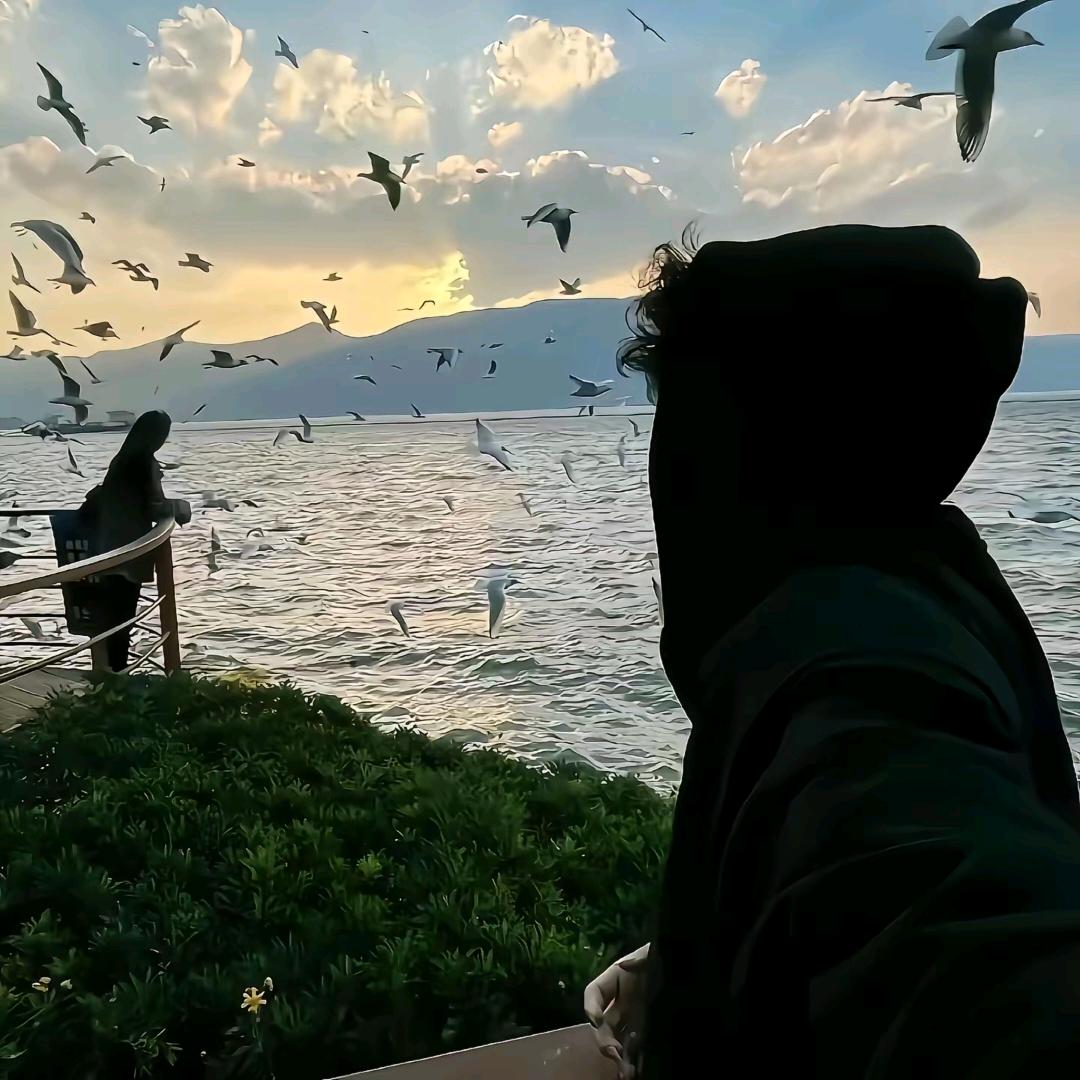 青淮