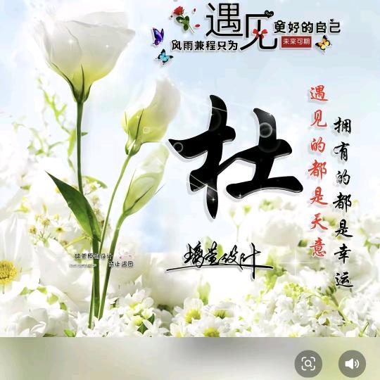 真心换真情