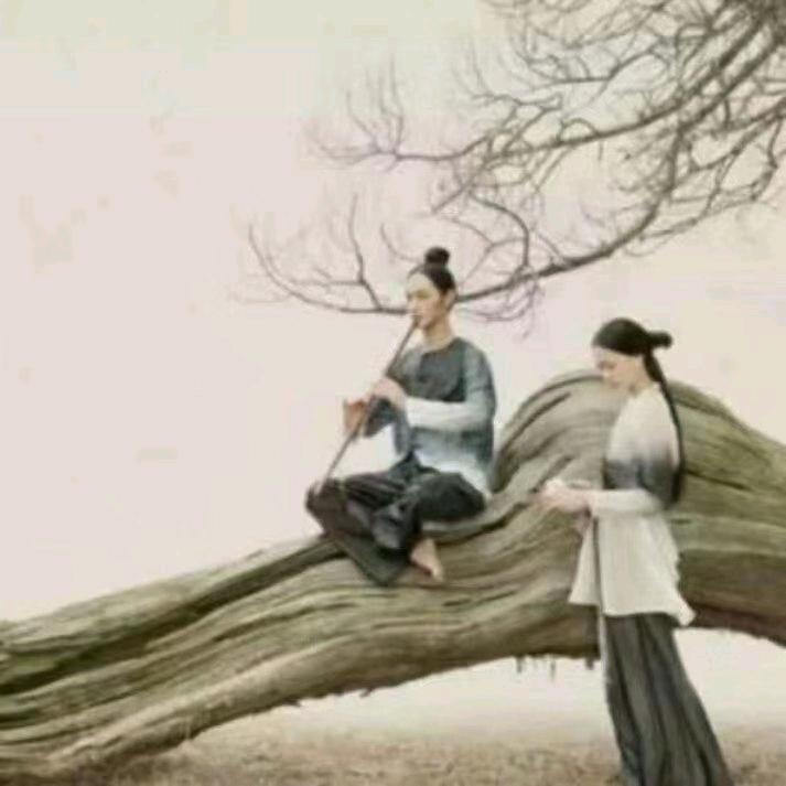 理解