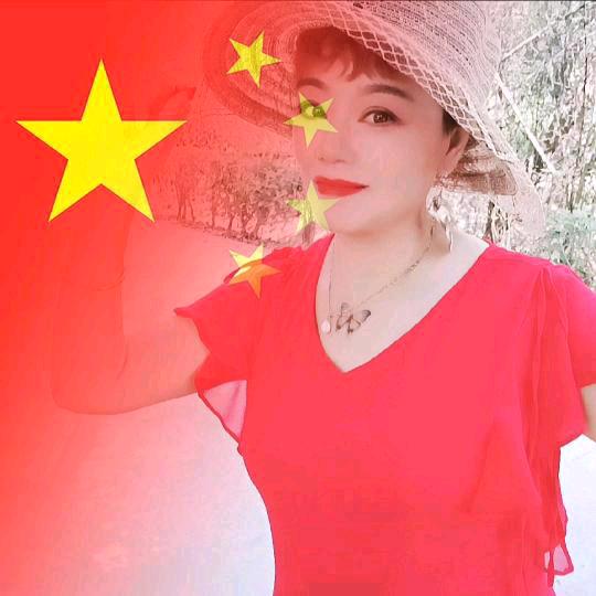陈淑琴
