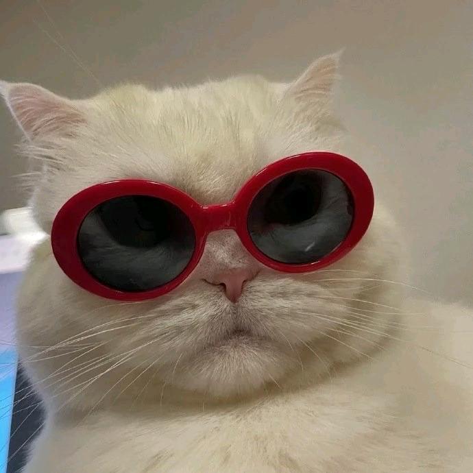🌈猫淼蛋炒饭