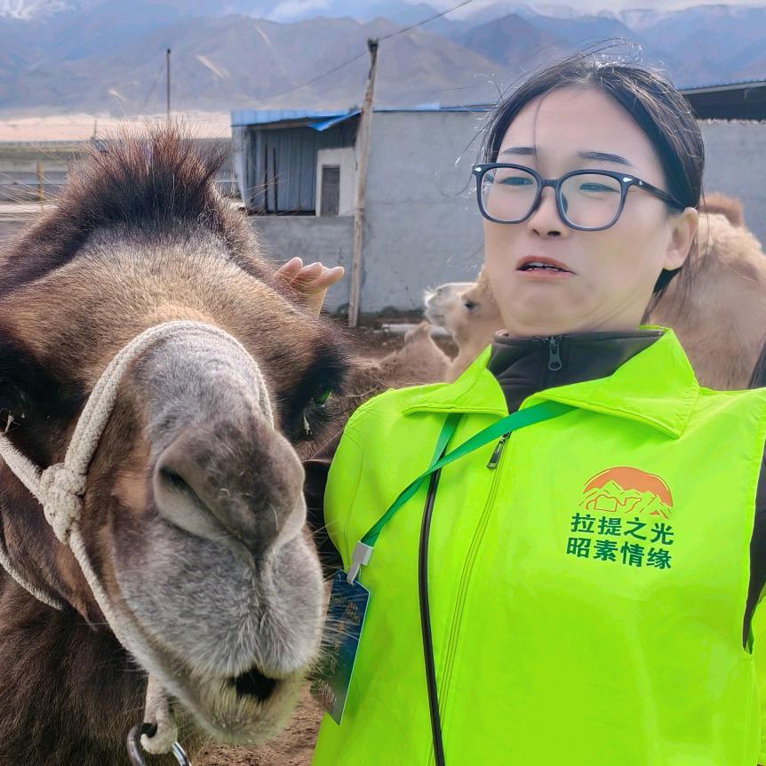 小慧新疆驼奶粉～双旦活动开始啦