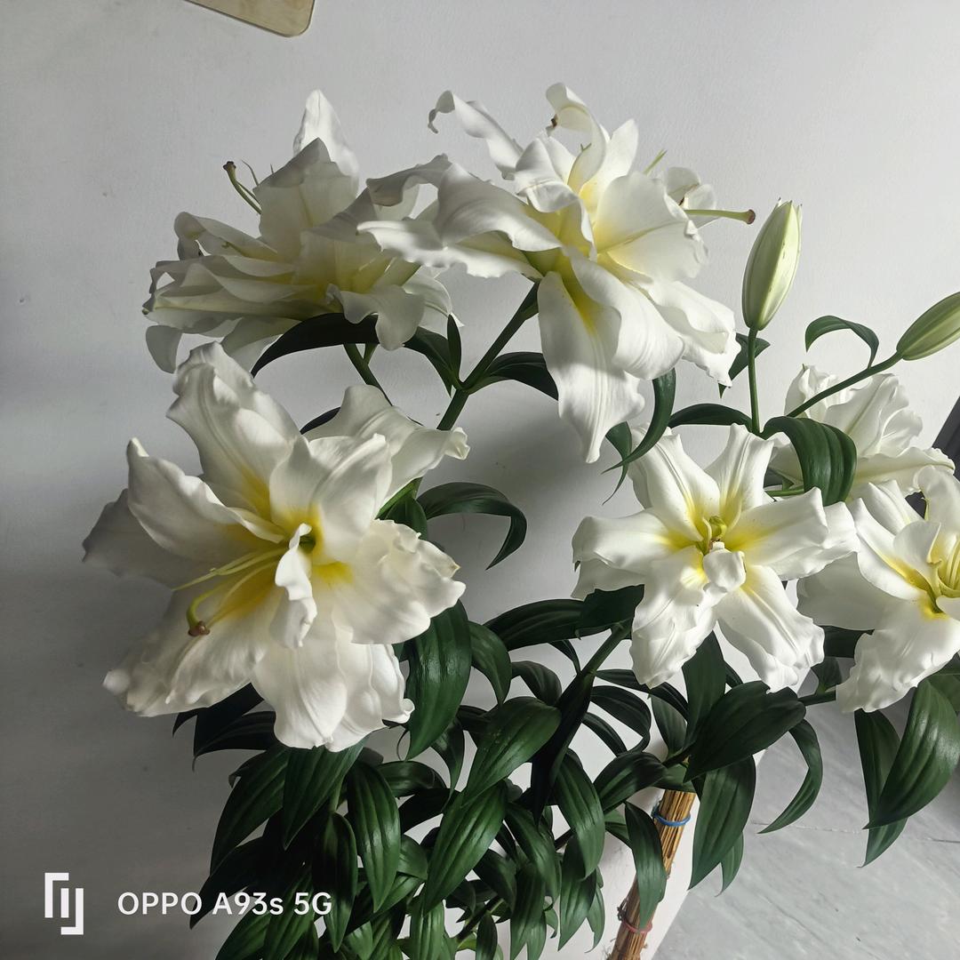 爱分享网