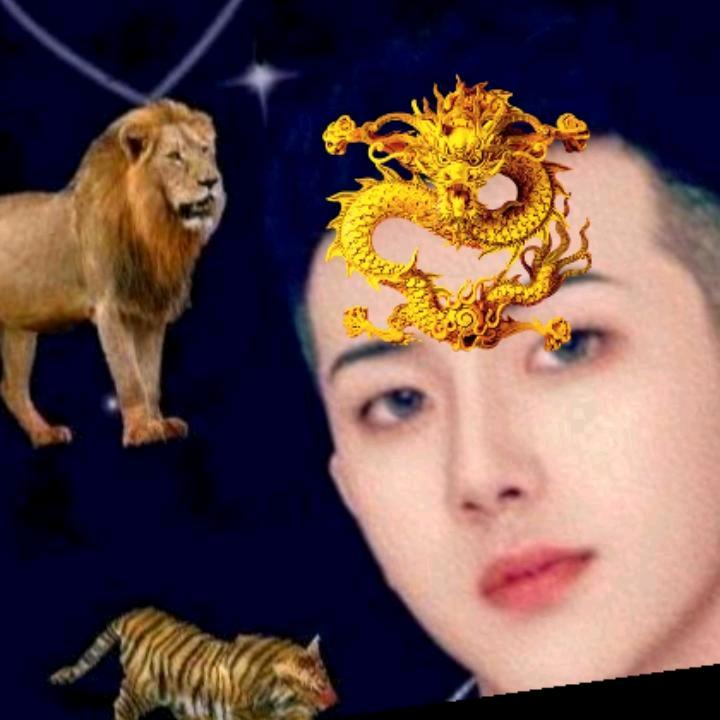 桑吉松茸虫草当归党参黄芪牛肉干羊肚菌野生