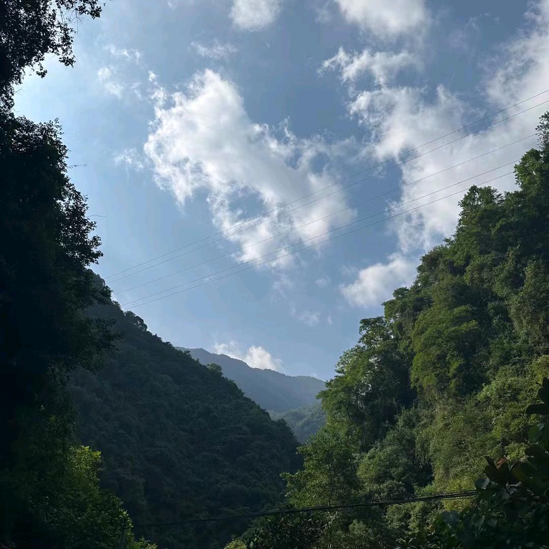 燕~~子