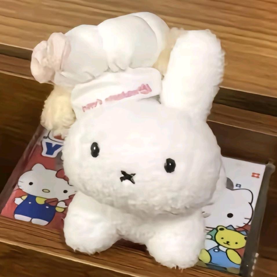 一只忧郁的小猫