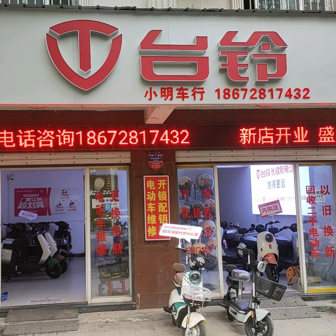 台铃电动车（沃尔玛店）