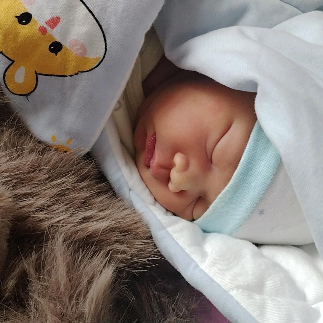 天使芯妹