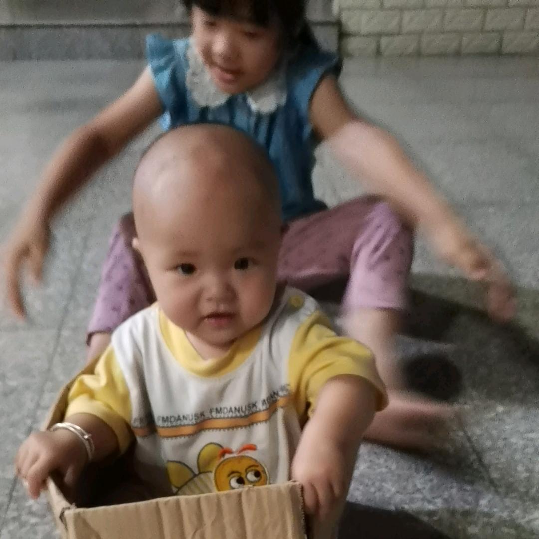 陈陈宝藏屋