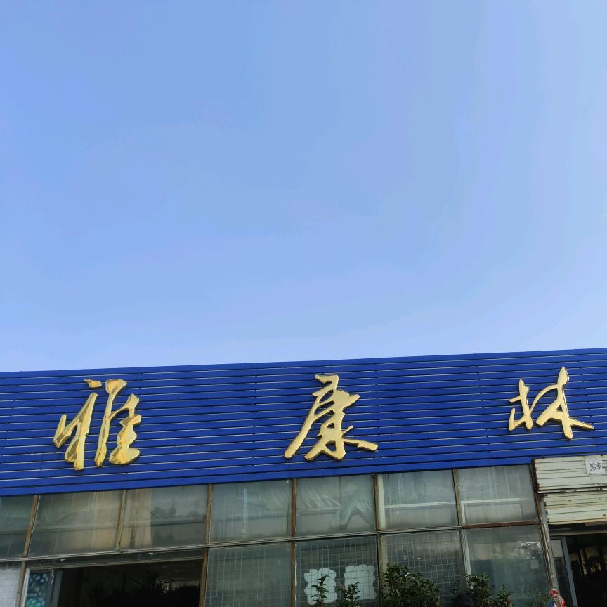 高飞