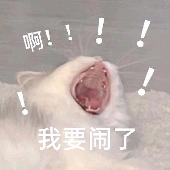 IF