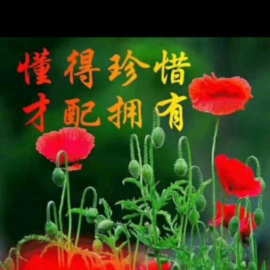 缘缘