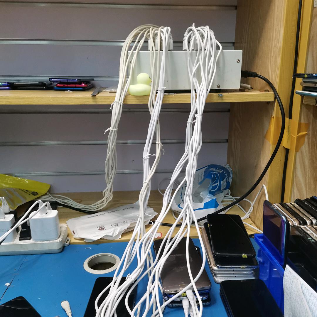 金龙速递31