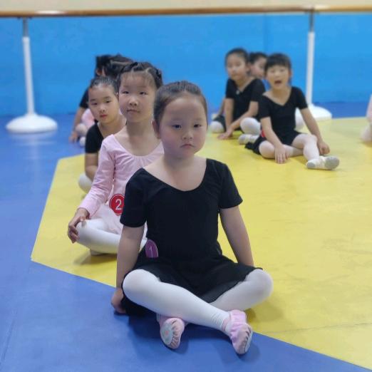 子侠