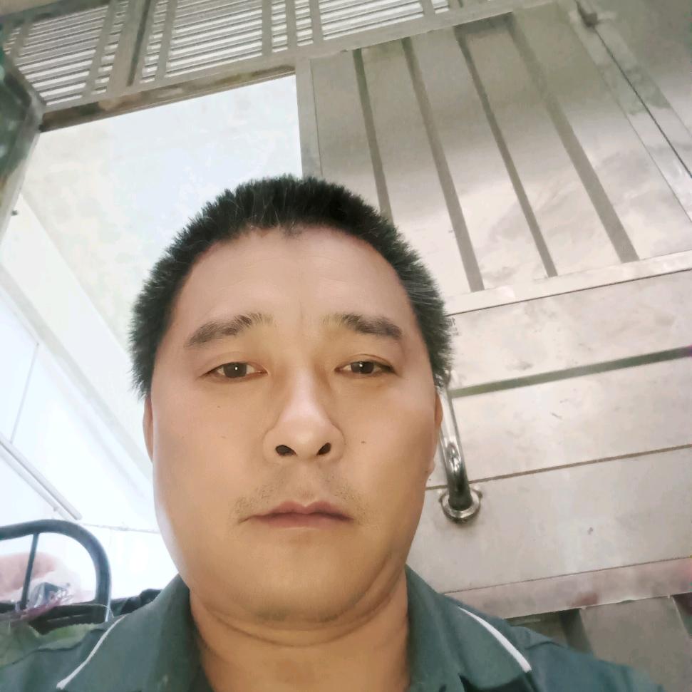 小杨