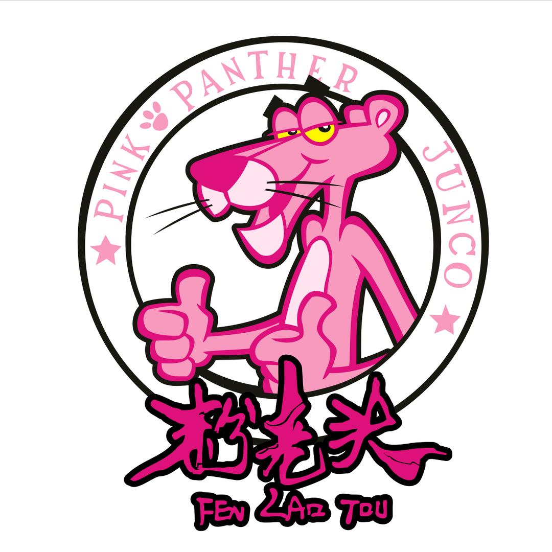 粉老头Junco（环华摩旅中）