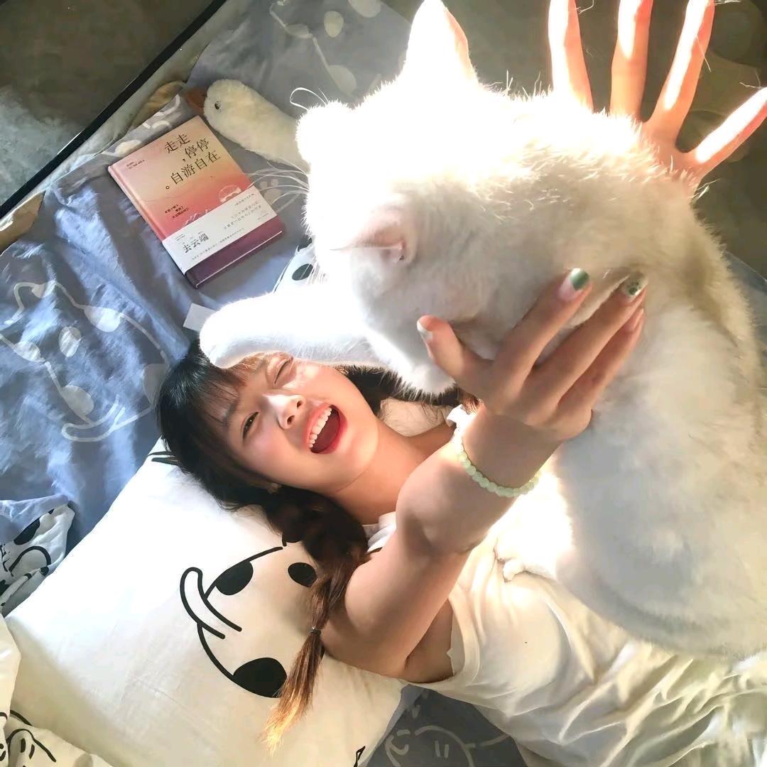 春屿猫（实习中）