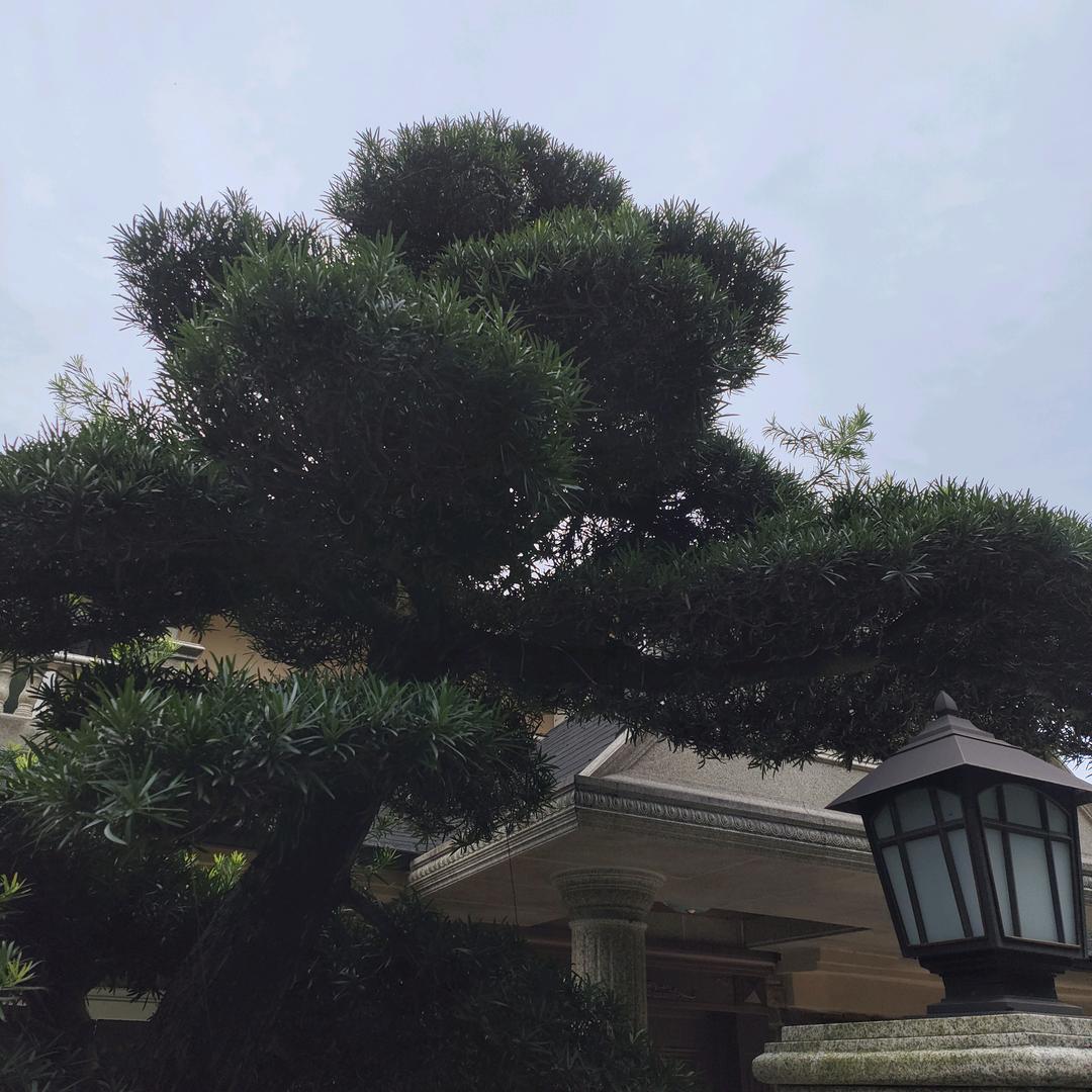 半生已过80后。