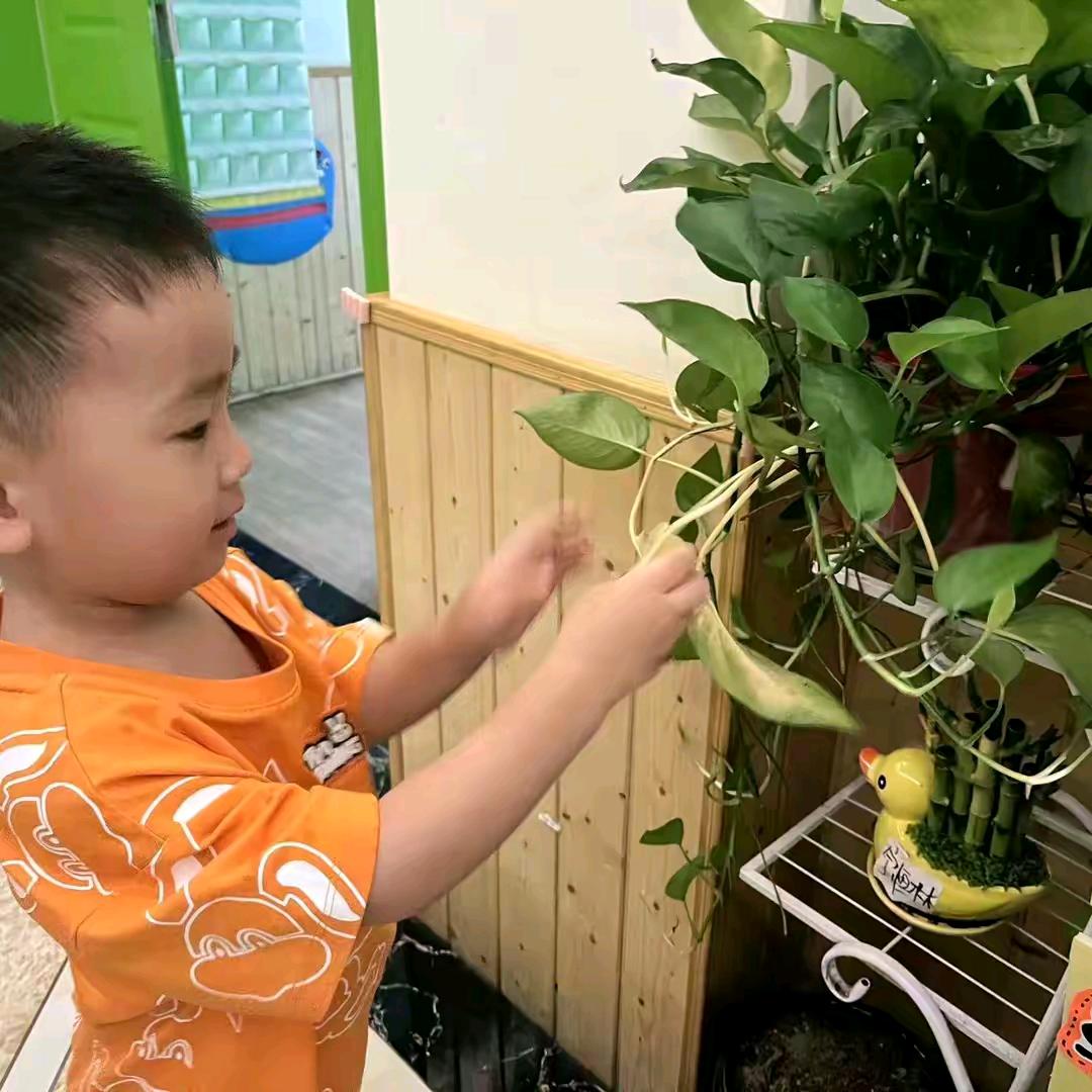 裴泽群