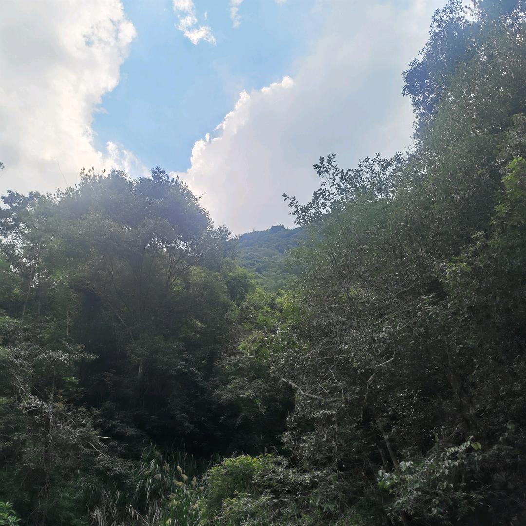 运动