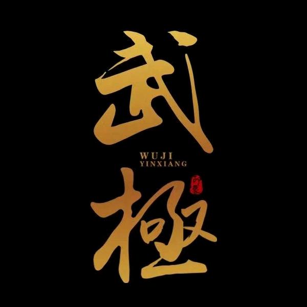 山西武极体育