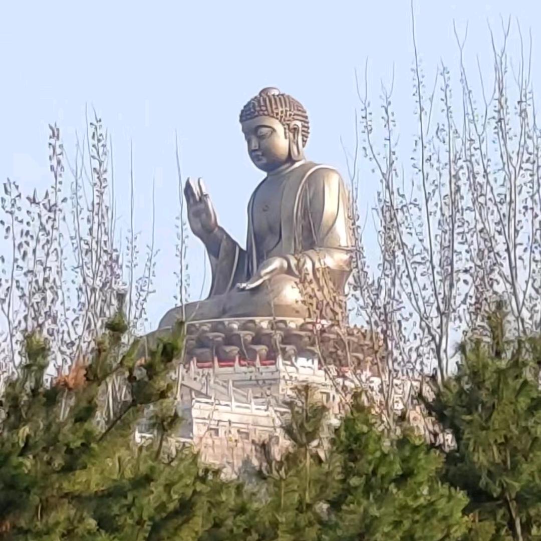 小刘哥