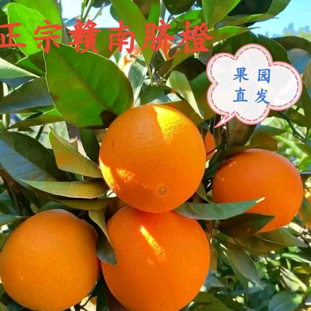 丰佳农副产品