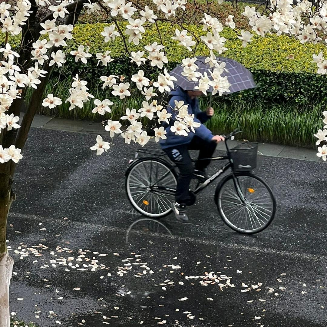 雨雨优选