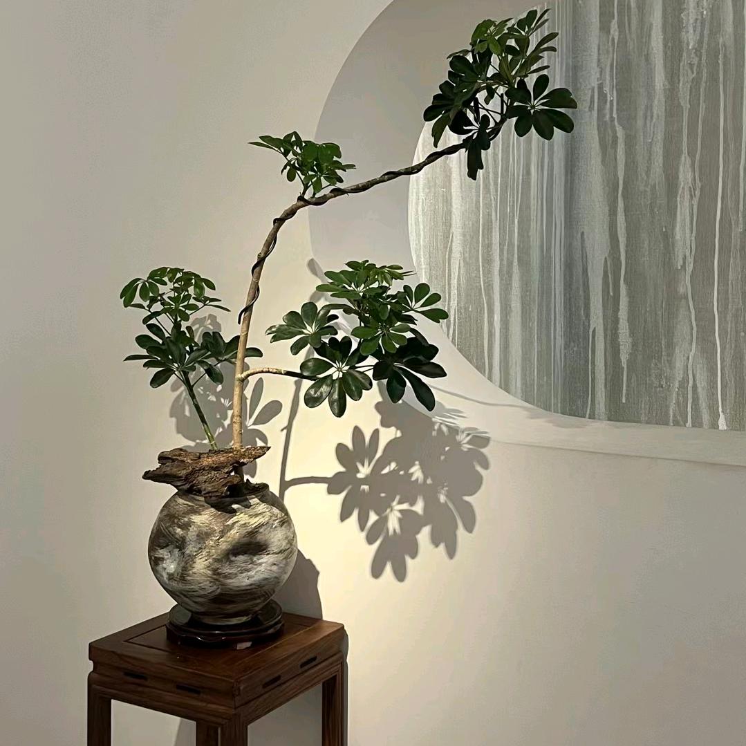 珍惜现在