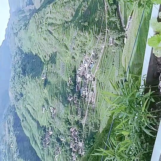 温酒醉人意醉心。