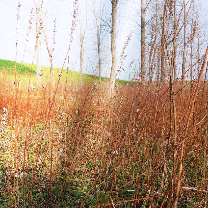 几度温暖（拒绝私聊）