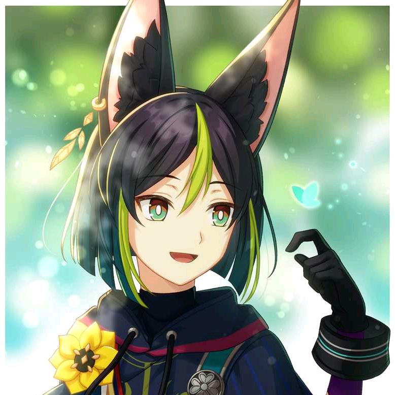 小提（原神代肝）