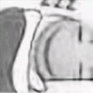 一口小稽