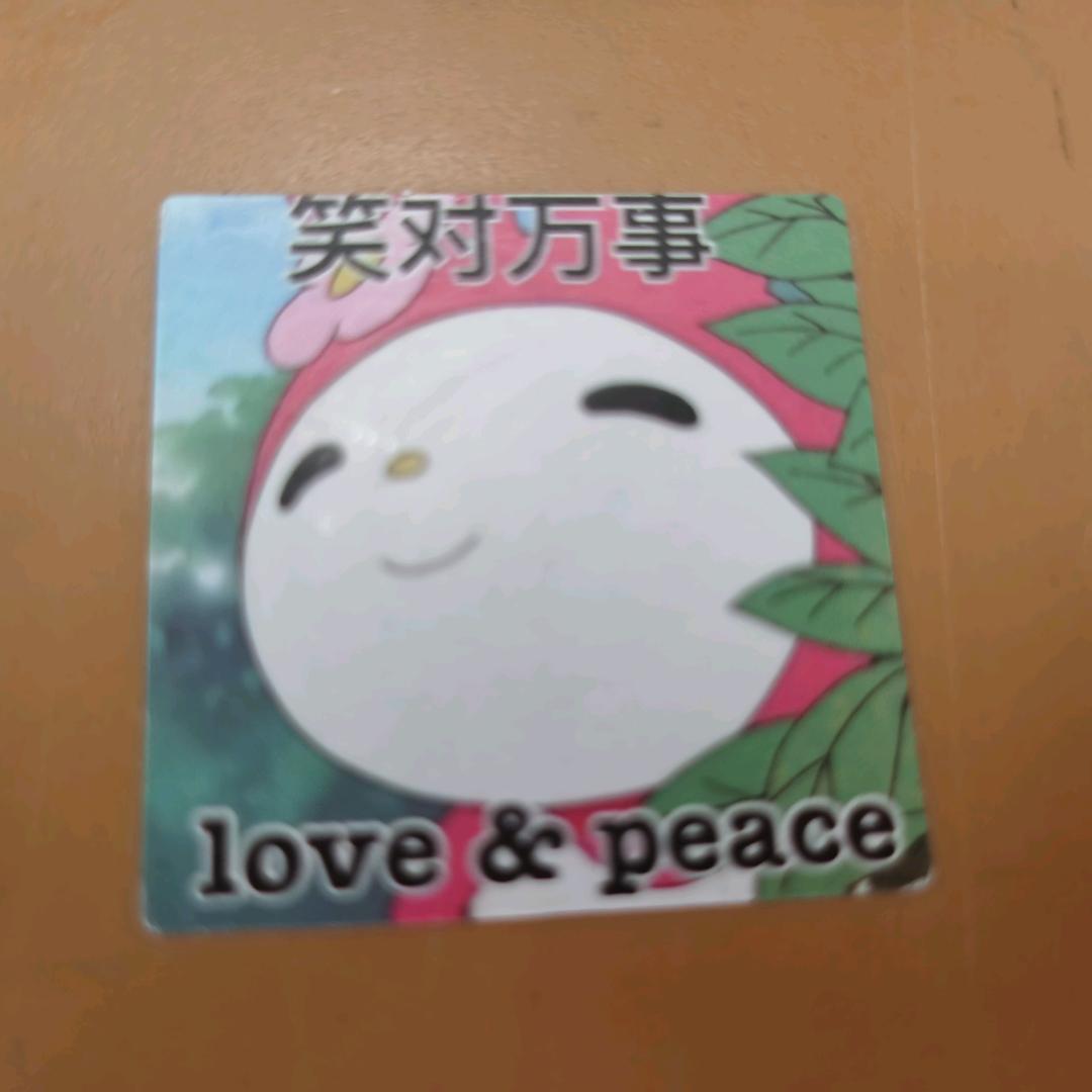W 猪头