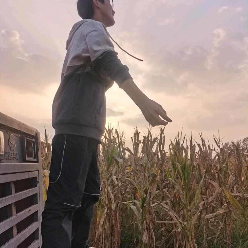 《丽丽》✂️了40金