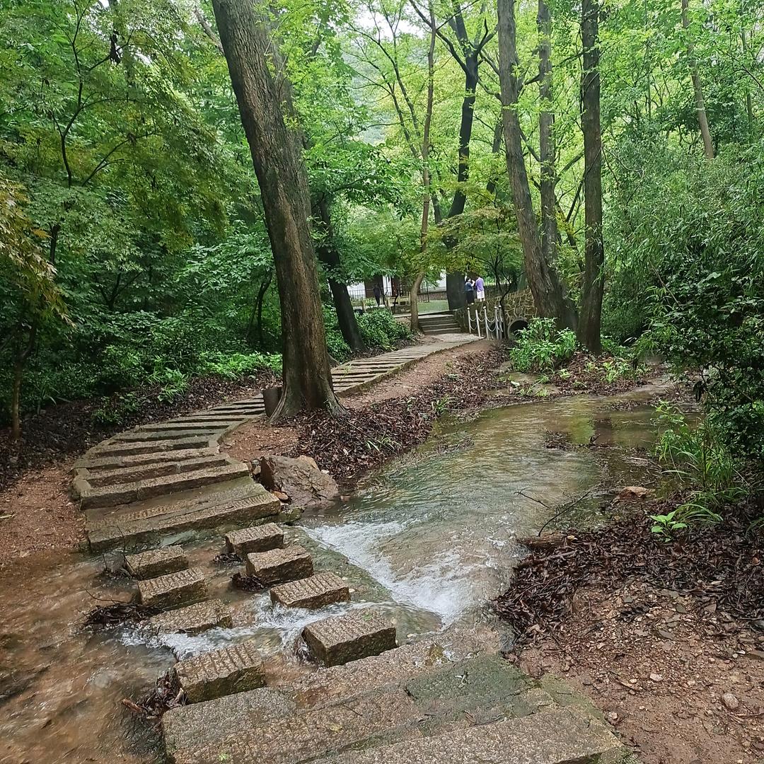 💞好运💘江临💞