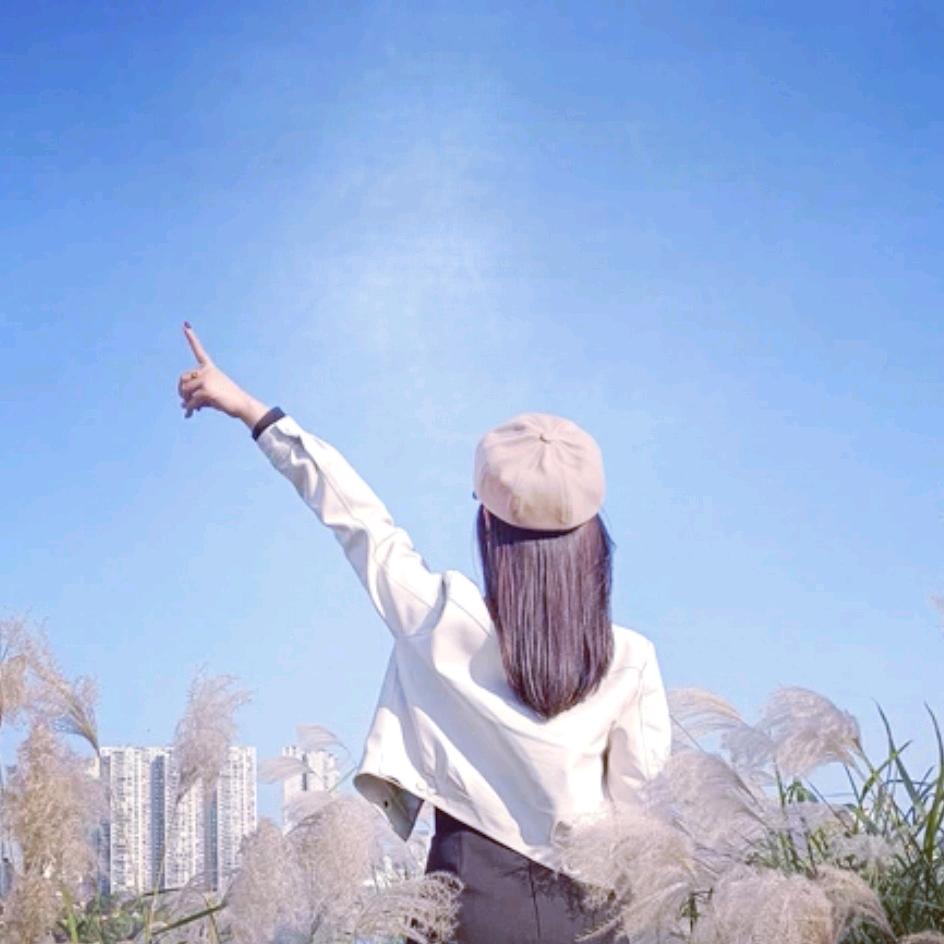 只如初见