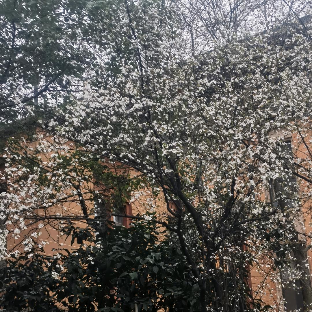 跌跌撞撞走走停停