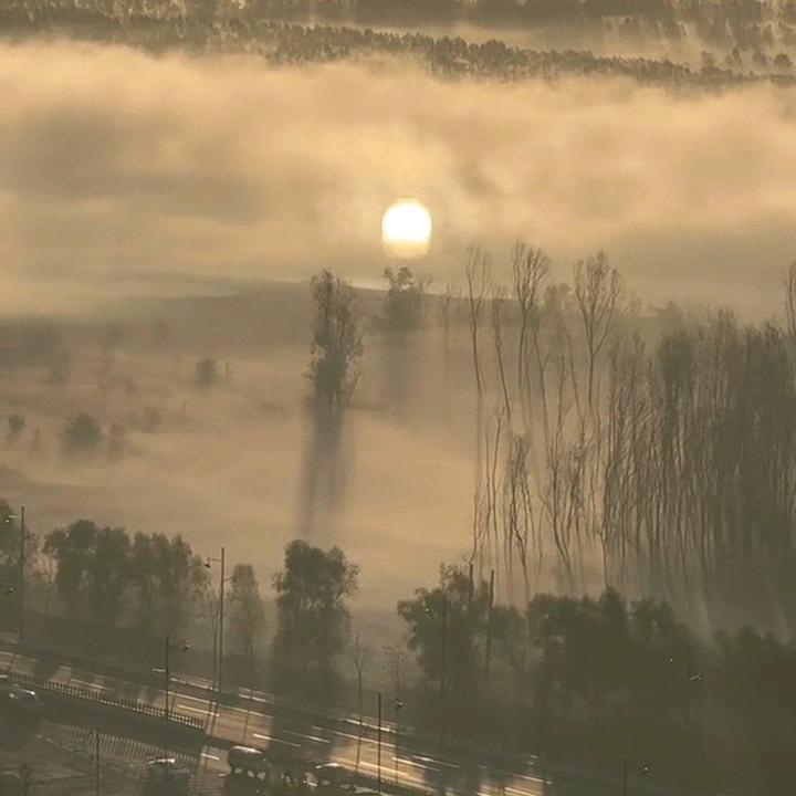 明天星期八