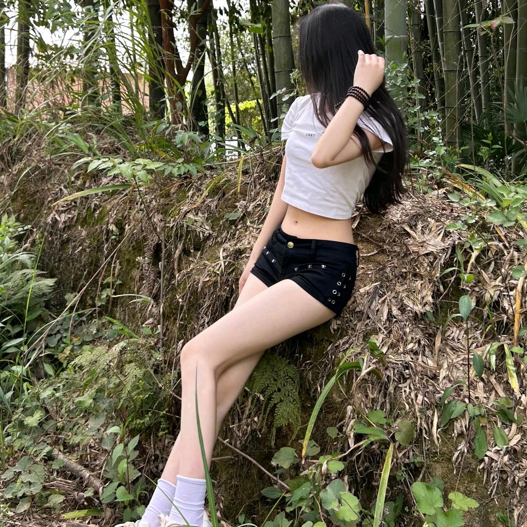 琴宝