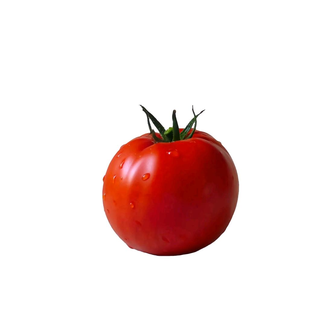 关你西红柿🍅