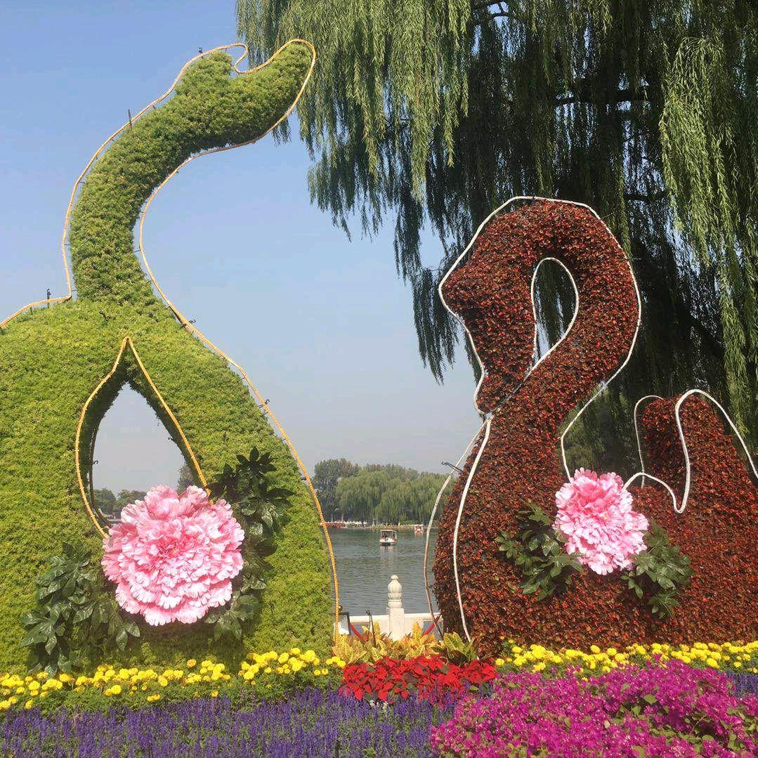 人生路上有风雨