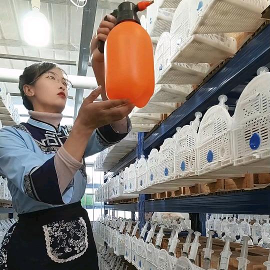 祥燕蜂业傈僳阿妹专业胡蜂养殖(仙人掌)