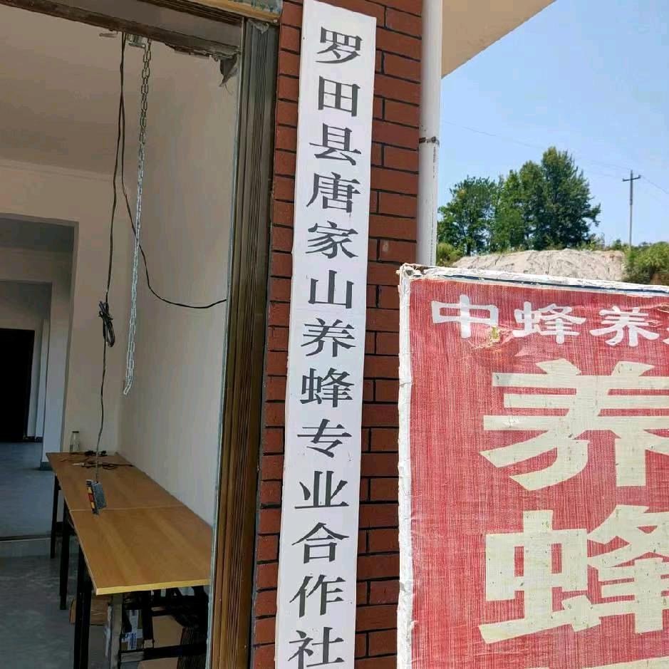学文哥