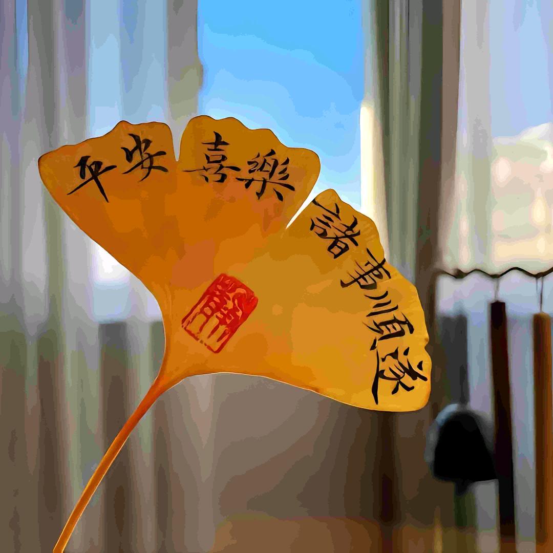 积极抗狼《小成成》