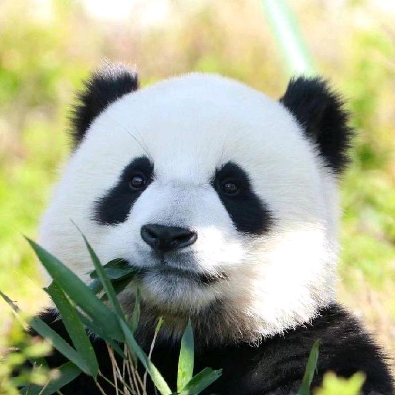 keeper.王是老王啊