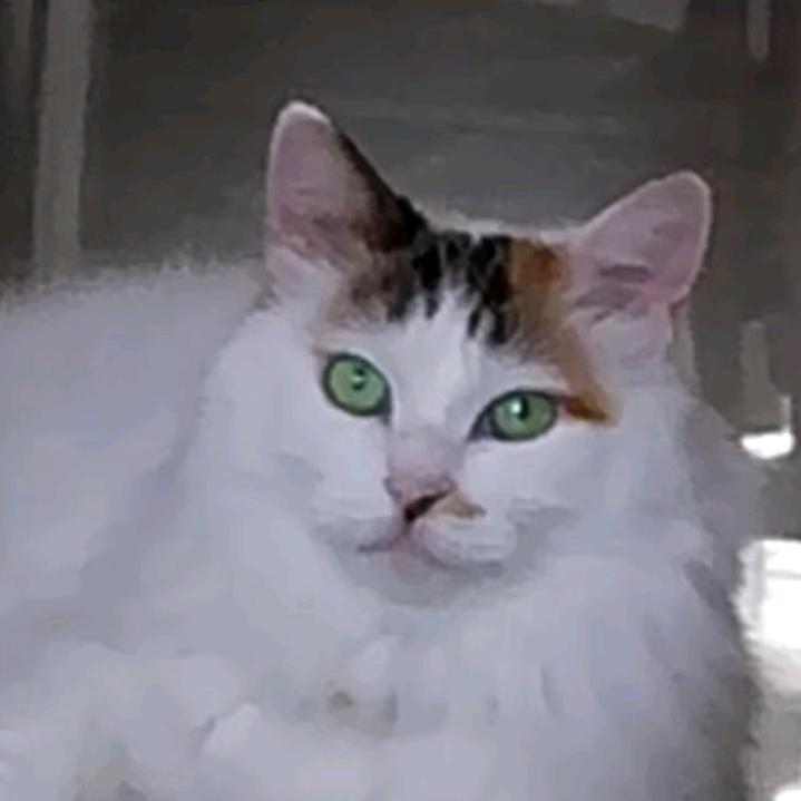 深呼吸