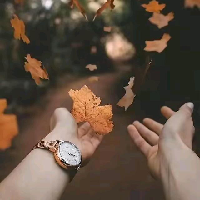 🌺᭄ 静谧🌟悠然ᥫ࿐ᩚ