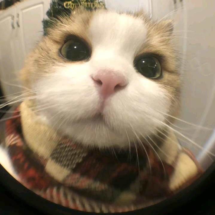 涤生丶